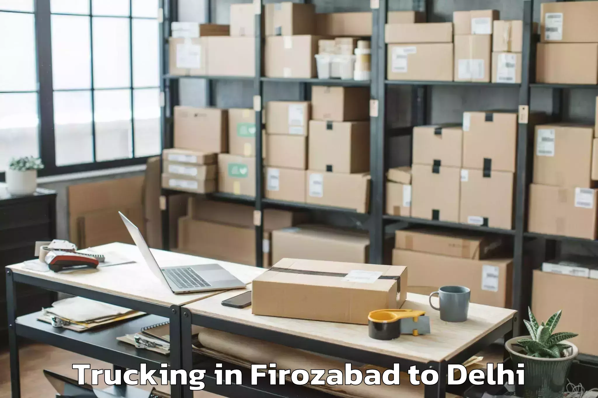 Professional Firozabad to Lodhi Road Trucking